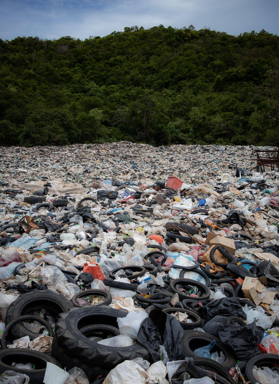 Founders' Notes #2: How You Can Support The Plastic Soup Foundation and Why - StrawbyStraw