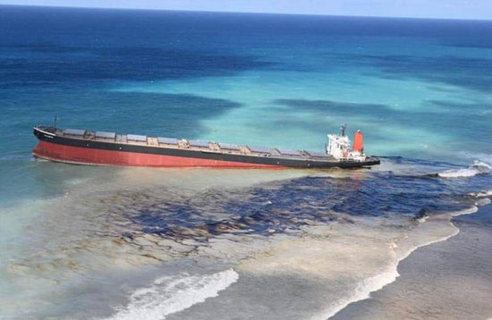 Mauritius: What happened, the response, and what you can do to help - StrawbyStraw