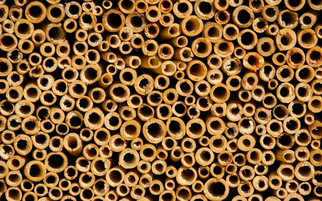 Crafting with reed straws: Make a bee hotel.