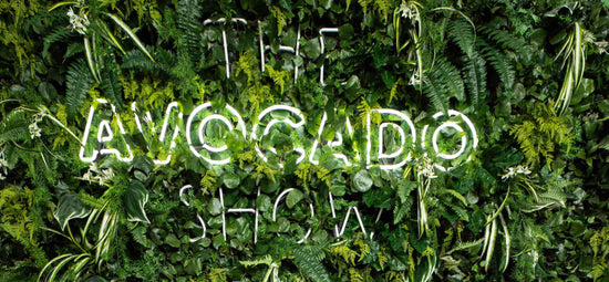 Ron Simpson van The Avocado Show over de problemen rond de toeleveringsketen van avocado's - StrawbyStraw